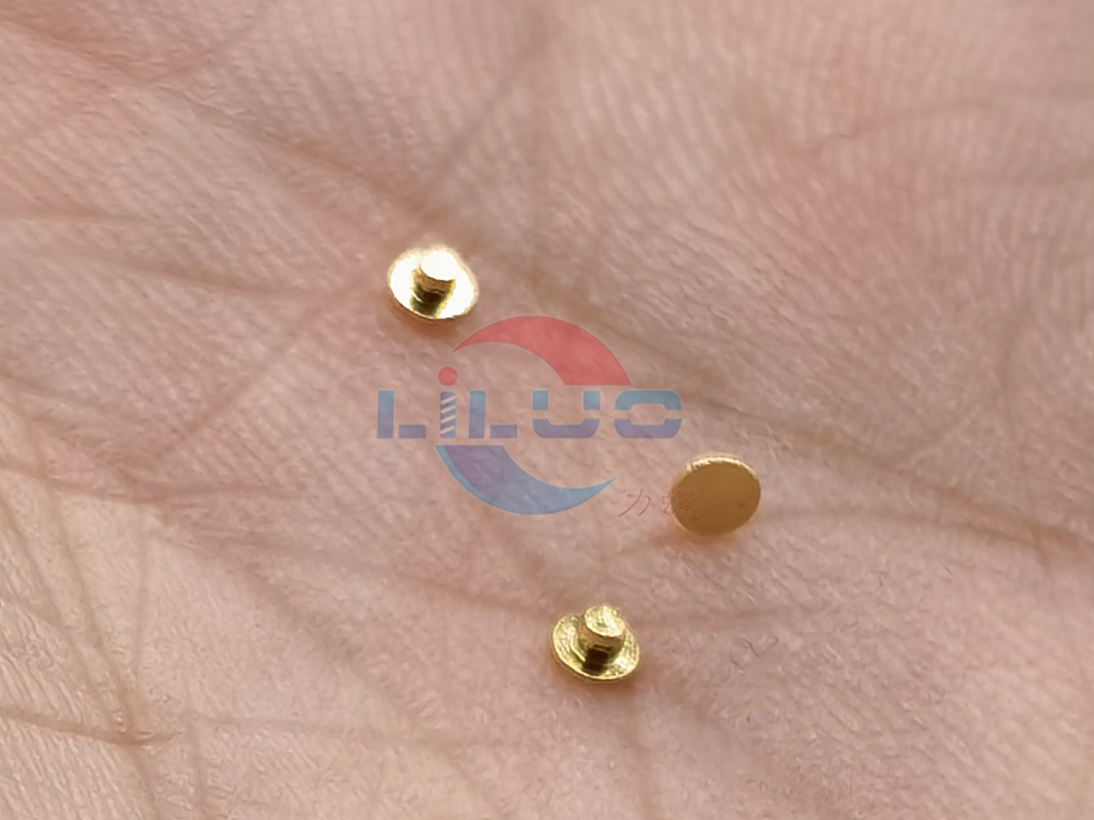 精密镀金铆钉1x0.97SUS316.jpg